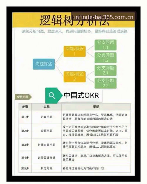 bat365登录入口 中场补强实战指南:曼联双星交易前必看的实用分析